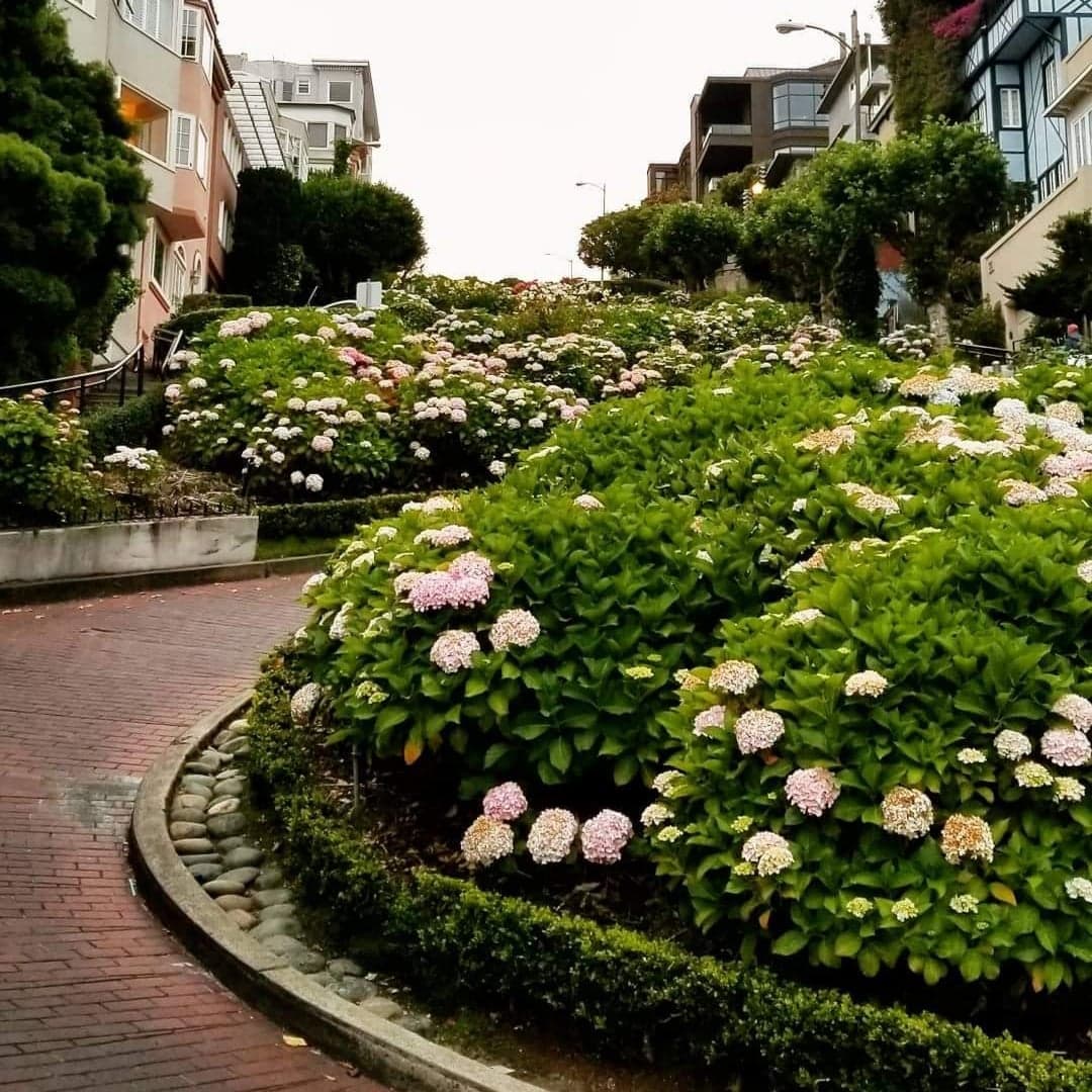 Lombard Street, San Francisco