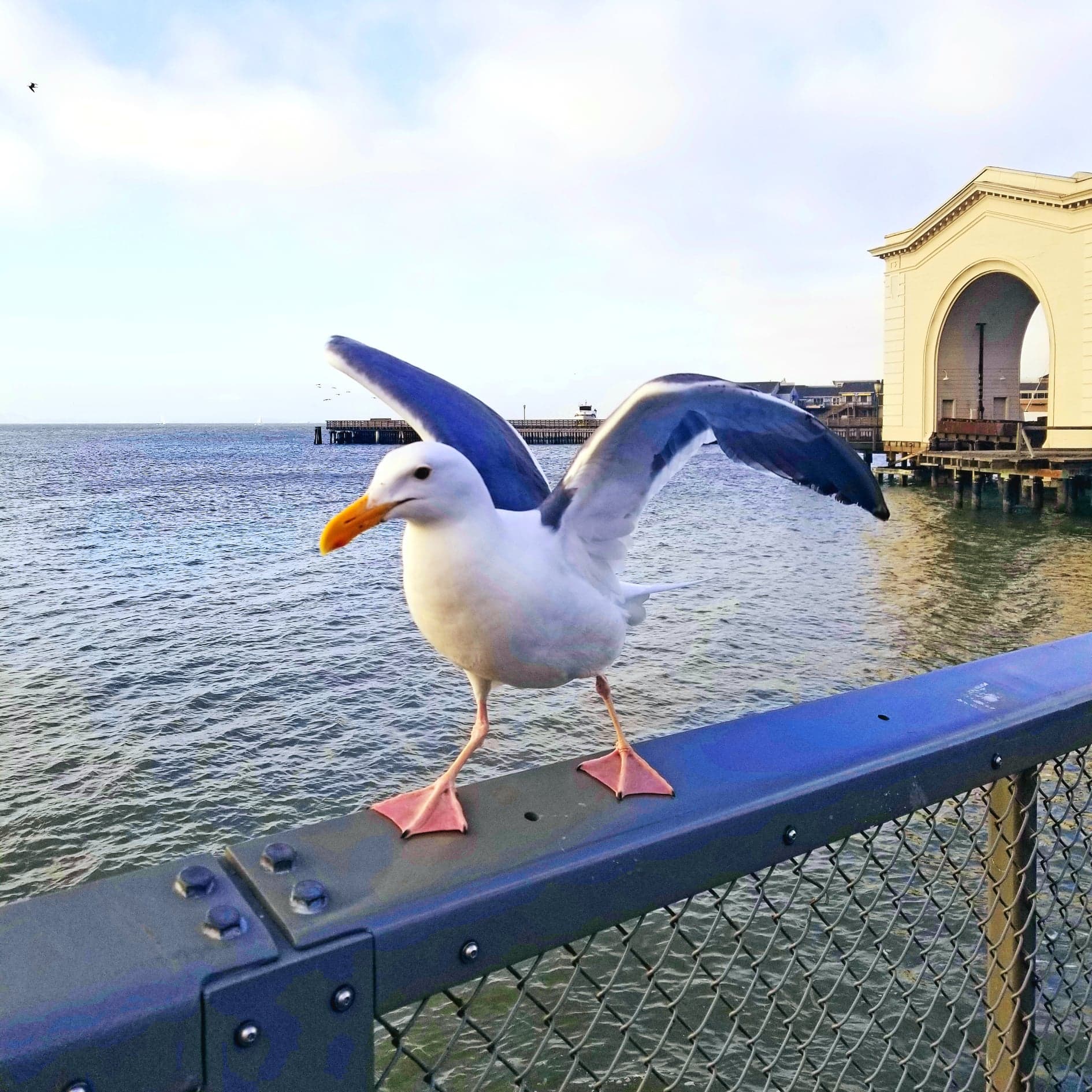 Pier 41, San Francisco